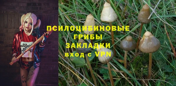 прущие крисы Верея