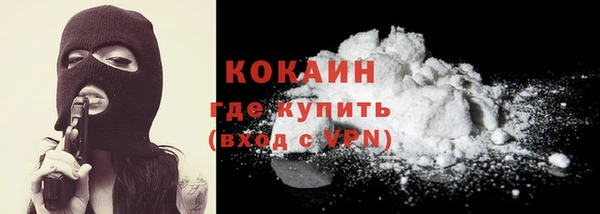 прущие крисы Верея