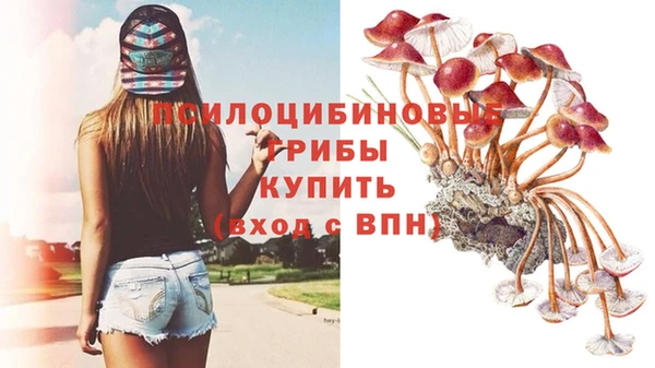 прущие крисы Верея