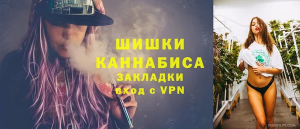 apvp Верхний Тагил