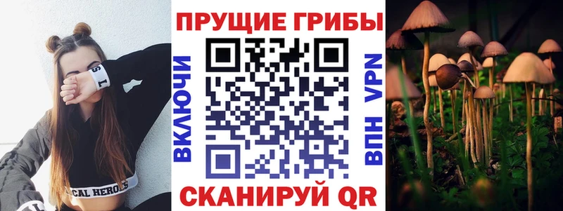 Псилоцибиновые грибы Psilocybine cubensis  ссылка на мегу ссылки  Прокопьевск 